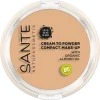 Sante Compact Make-up 01 Cool Ivory 16