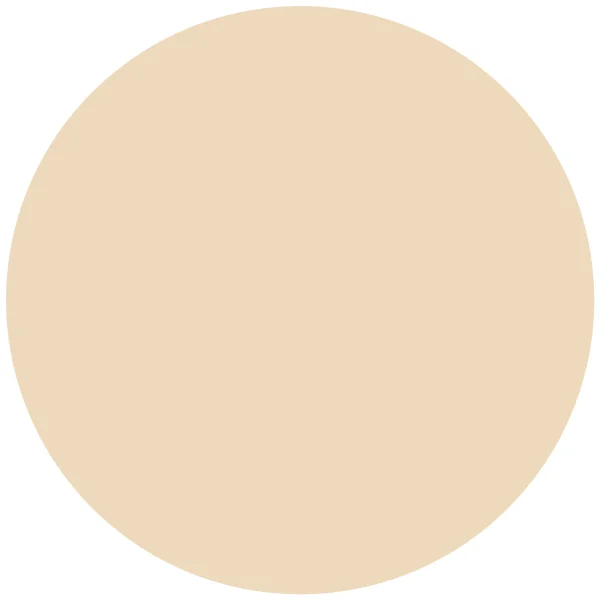 Catrice 18H HD Matte Powder Foundation 005N 4