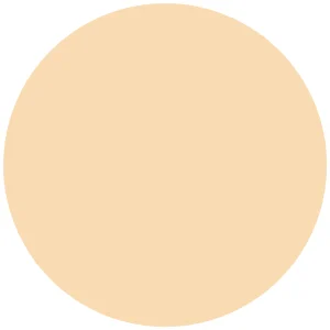 Catrice 18H HD Matte Powder Foundation 010W 9